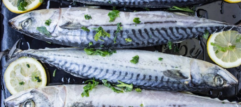 pescado-azul