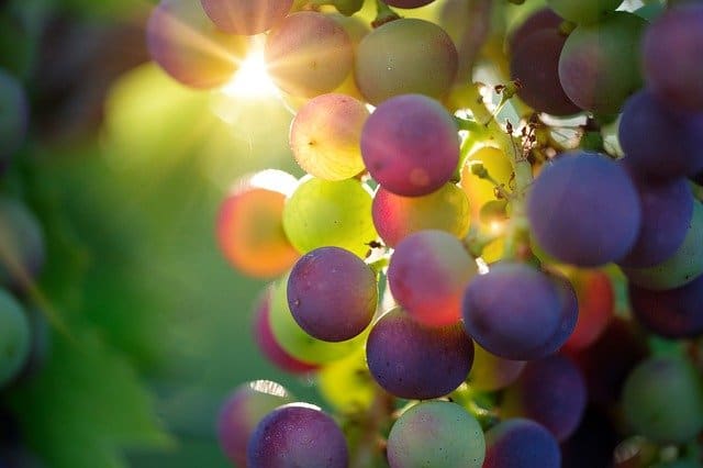 frutas-con-vitamina-d