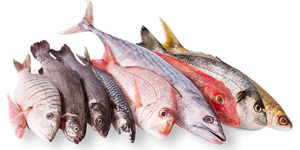pescado para dieta