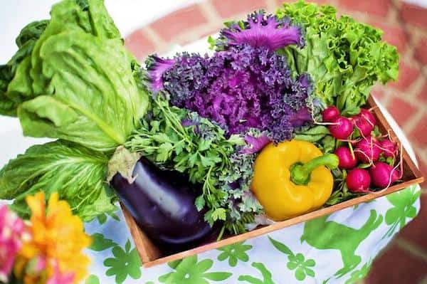 verduras de verano