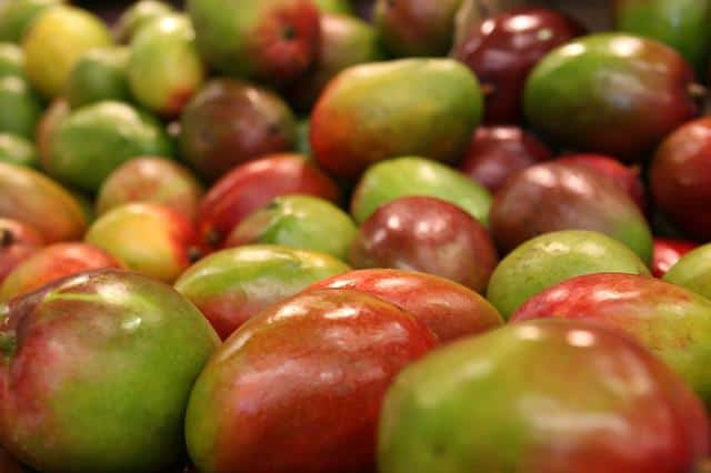 propiedades del mango
