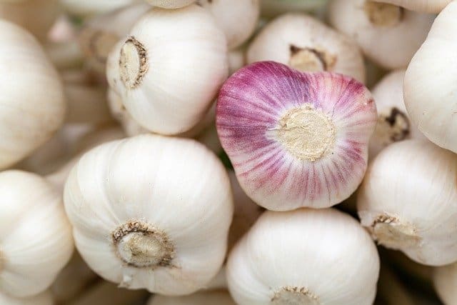 ajo prostata