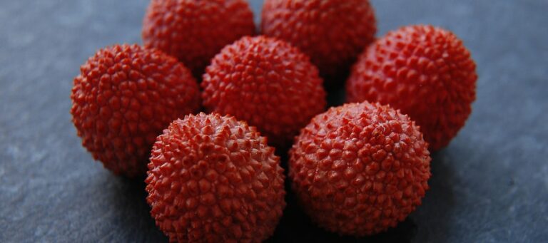 lichi fruta