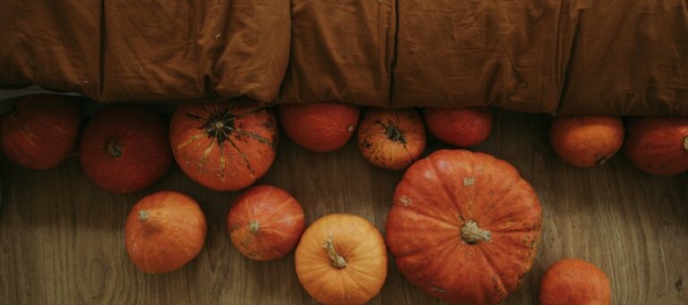 variedades de calabaza