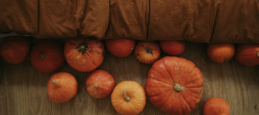 variedades de calabaza