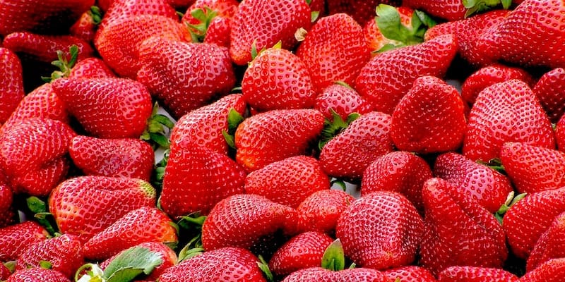 frutas de primavera