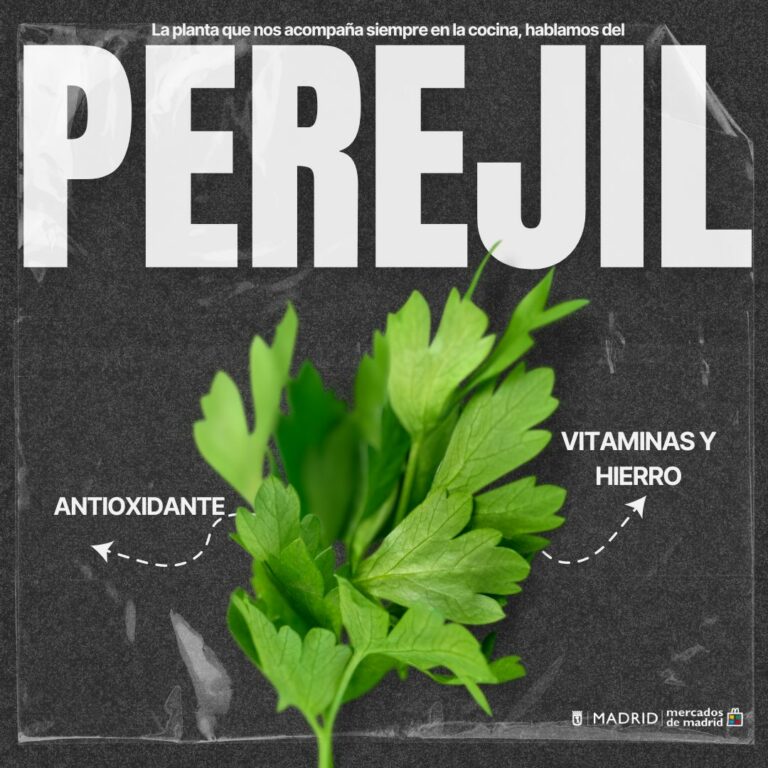hierbas aromáticas de mercado